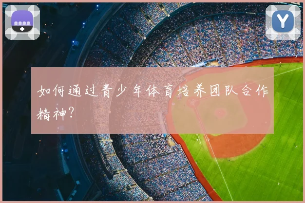 如何通过青少年体育培养团队合作精神？